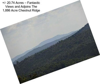 +/- 20.74 Acres – Fantastic Views and Adjoins The 1,886 Acre Chestnut Ridge