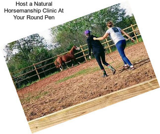 Host a Natural Horsemanship Clinic At Your Round Pen
