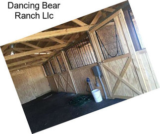Dancing Bear Ranch Llc