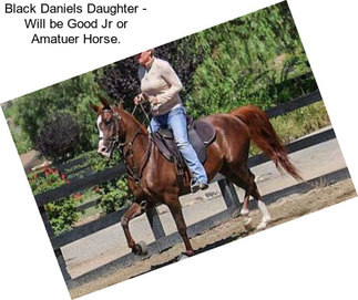Black Daniels Daughter - Will be Good Jr or Amatuer Horse.
