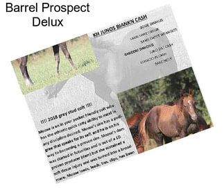 Barrel Prospect Delux