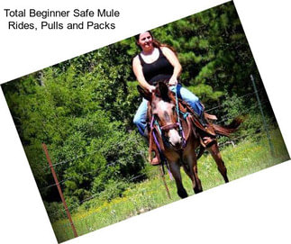 Total Beginner Safe Mule Rides, Pulls and Packs