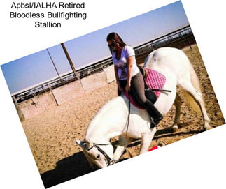 Apbsl/IALHA Retired Bloodless Bullfighting Stallion