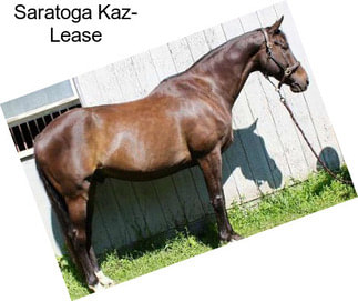 Saratoga Kaz- Lease