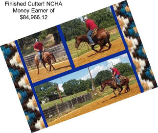 Finished Cutter! NCHA Money Earner of $84,966.12