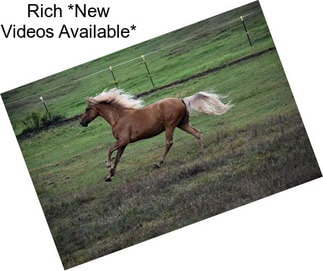 Rich *New Videos Available*