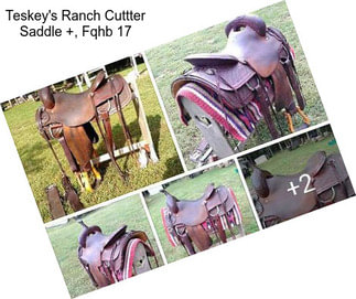 Teskey\'s Ranch Cuttter Saddle +, Fqhb 17\