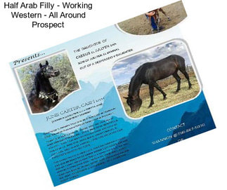 Half Arab Filly - Working Western - All Around Prospect