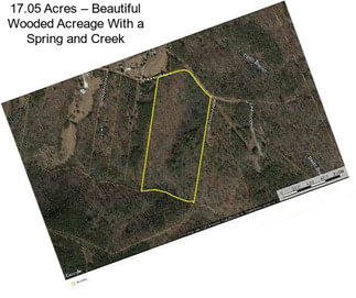 17.05 Acres – Beautiful Wooded Acreage With a Spring and Creek