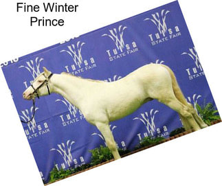Fine Winter Prince