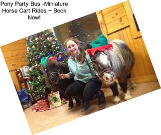 Pony Party Bus -Miniature Horse Cart Rides ~ Book Now!