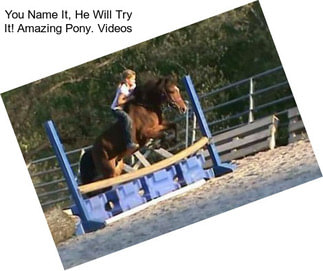 You Name It, He Will Try It! Amazing Pony. Videos