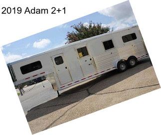 2019 Adam 2+1