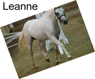 Leanne