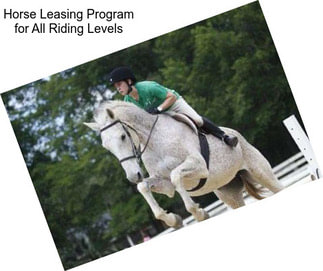 Horse Leasing Program for All Riding Levels