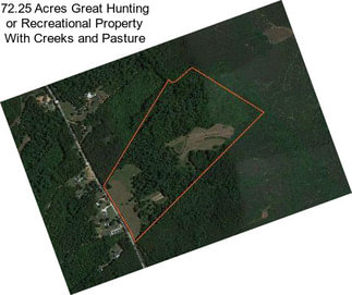 72.25 Acres Great Hunting or Recreational Property With Creeks and Pasture