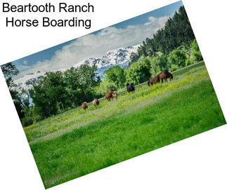 Beartooth Ranch Horse Boarding