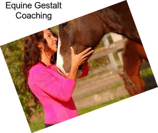 Equine Gestalt Coaching