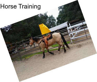 Horse Training