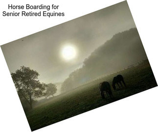 Horse Boarding for Senior Retired Equines