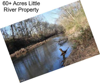 60+ Acres Little River Property