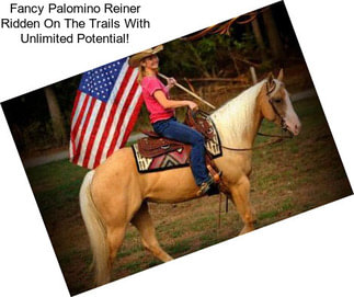 Fancy Palomino Reiner Ridden On The Trails With Unlimited Potential!