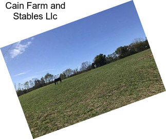 Cain Farm and Stables Llc