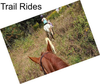 Trail Rides