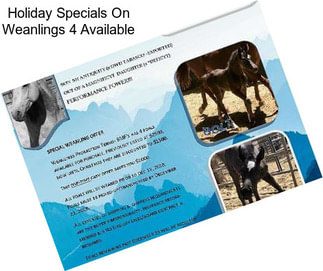 Holiday Specials On Weanlings 4 Available