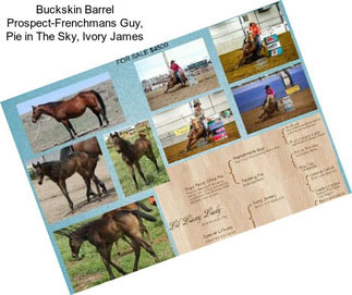 Buckskin Barrel Prospect-Frenchmans Guy, Pie in The Sky, Ivory James