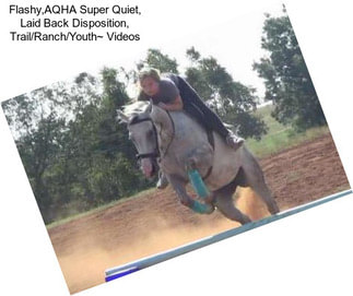 Flashy,AQHA Super Quiet, Laid Back Disposition, Trail/Ranch/Youth~ Videos