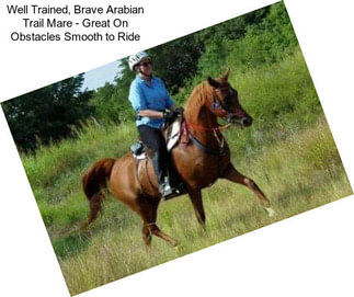 Well Trained, Brave Arabian Trail Mare - Great On Obstacles Smooth to Ride