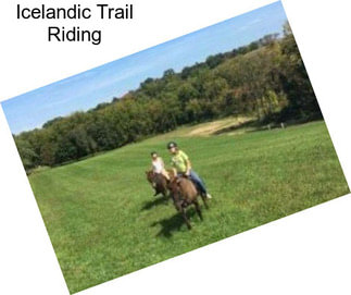 Icelandic Trail Riding
