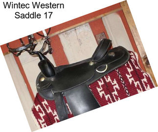 Wintec Western Saddle 17\