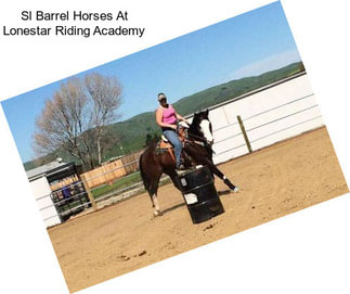 Sl Barrel Horses At Lonestar Riding Academy