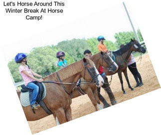 Let\'s Horse Around This Winter Break At Horse Camp!