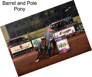 Barrel and Pole Pony