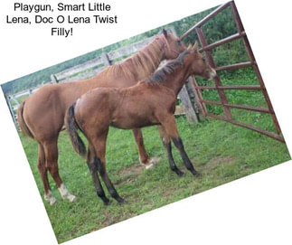 Playgun, Smart Little Lena, Doc O Lena Twist Filly!