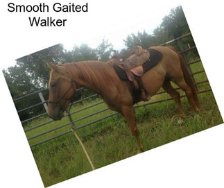 Smooth Gaited Walker