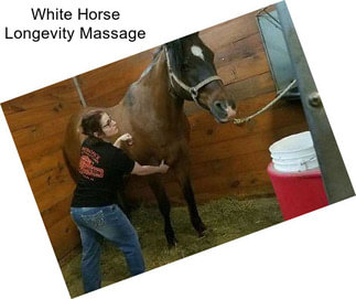White Horse Longevity Massage