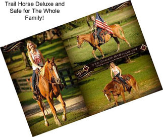 Trail Horse Deluxe and Safe for The Whole Family!