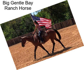 Big Gentle Bay Ranch Horse