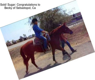 Sold/ Sugar: Congratulations to Becky of Sebastopol, Ca