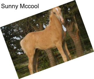 Sunny Mccool