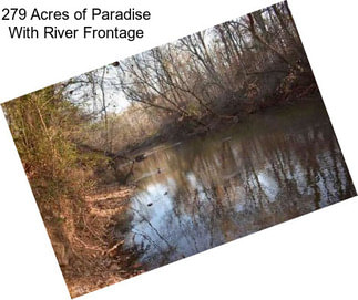 279 Acres of Paradise With River Frontage