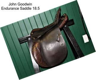 John Goodwin Endurance Saddle 18.5\