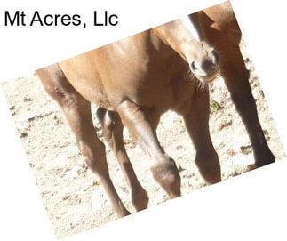 Mt Acres, Llc