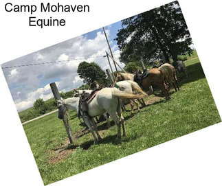 Camp Mohaven Equine