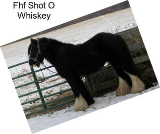 Fhf Shot O Whiskey