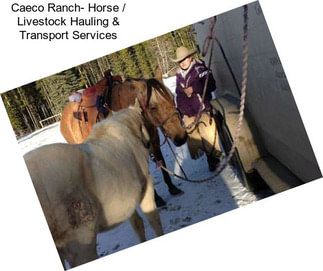 Caeco Ranch- Horse / Livestock Hauling & Transport Services